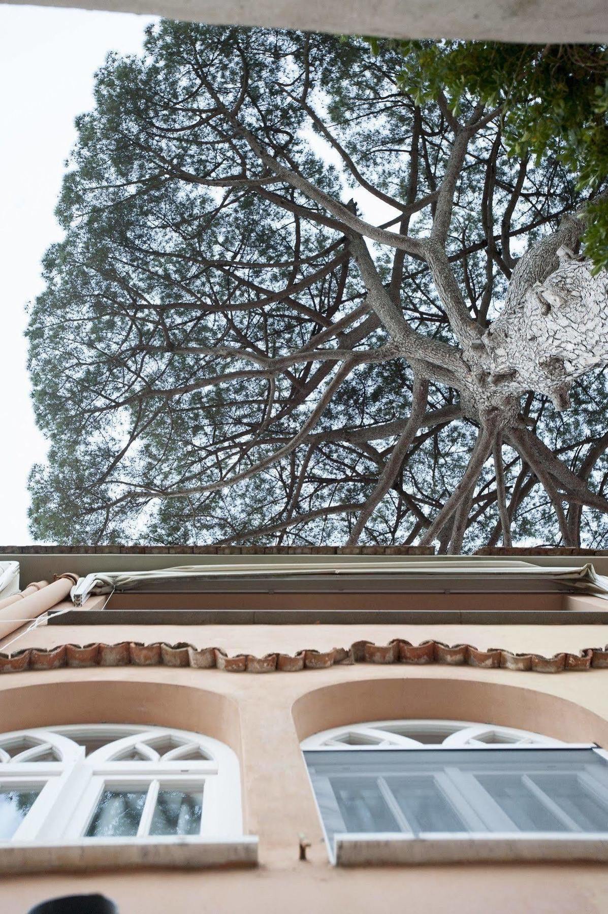 La Casa Di Carla *